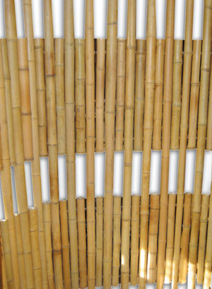 sandiego bamboo fence