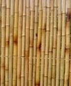 bamboo fence panel