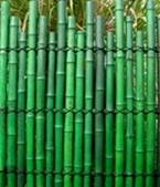 uneven bamboo fence
