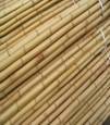 Bamboo Poles /Canes /Stakes 
more info