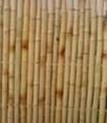 Bamboo Fence /Trellis /Edging 
more info
